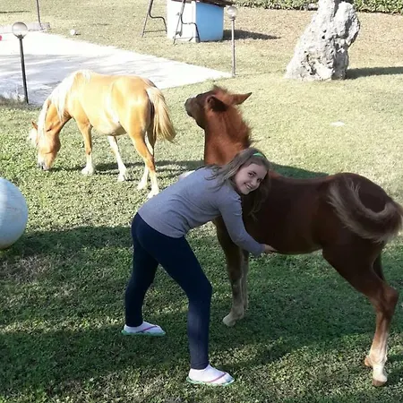 Le Corti Bed & Breakfast Supino